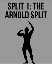 Arnold Split